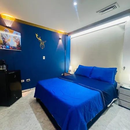 Habitación De Lujo Con Aire Acondicionado En Privado *