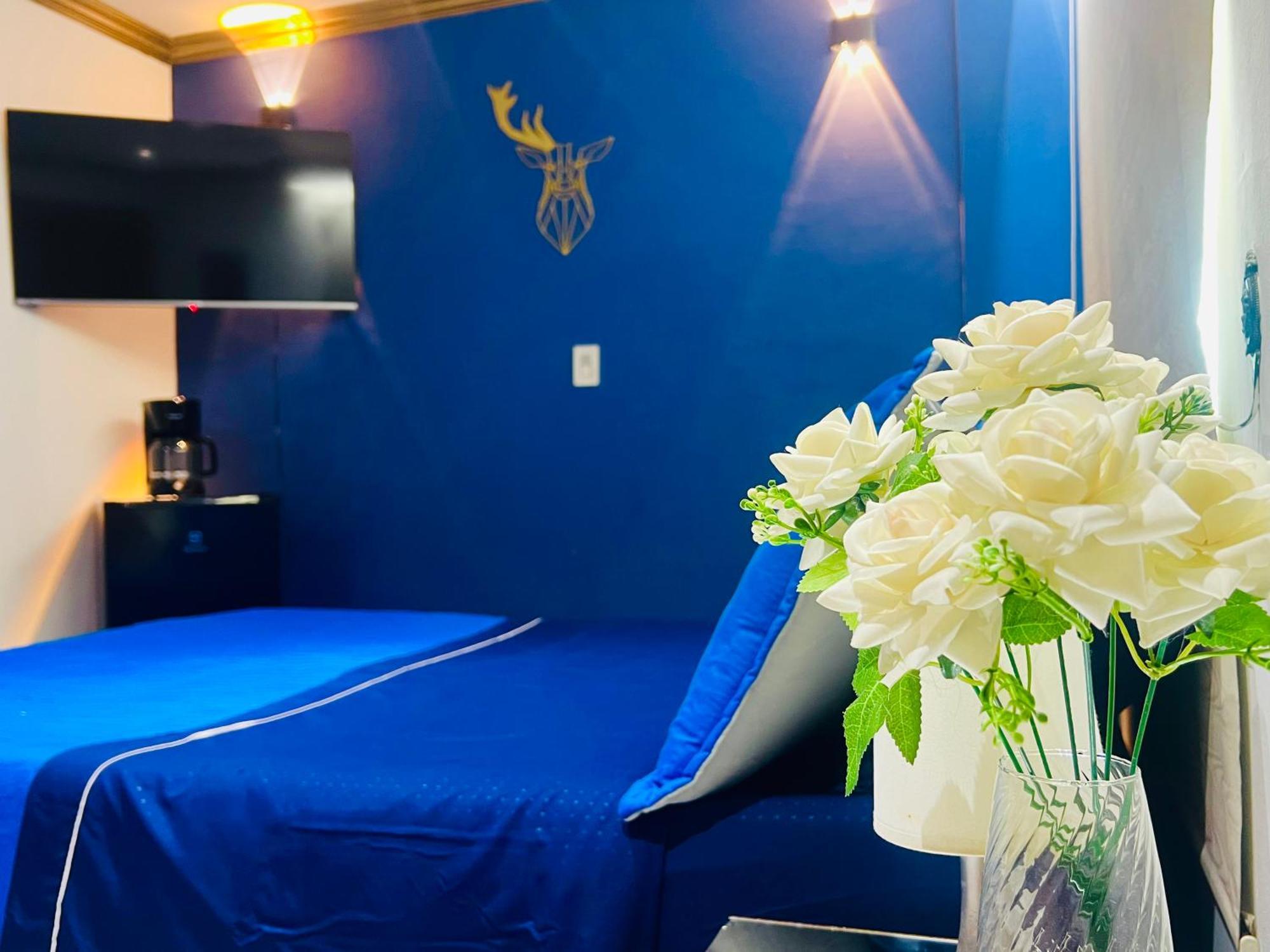 Habitación De Lujo Con Aire Acondicionado En Privado * Cartagena